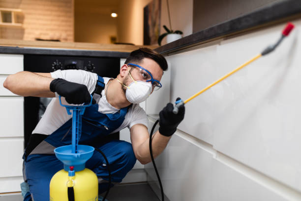Reliable Walworth, WI Pest Control Solutions
