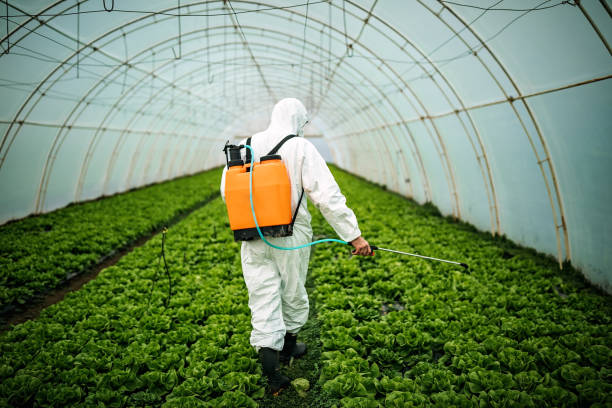 Best Affordable Pest Control Services  in Walworth, WI