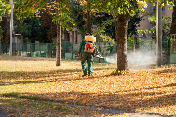 Best Best Pest Control Companies  in Walworth, WI